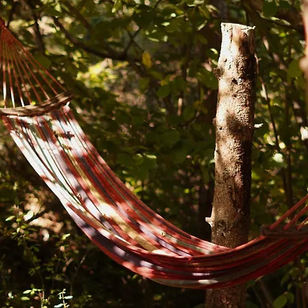 Hotel гранд алексік Truskawez