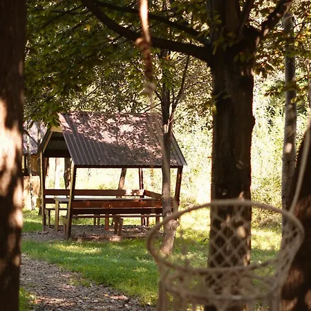 гранд алексік * Truskawez