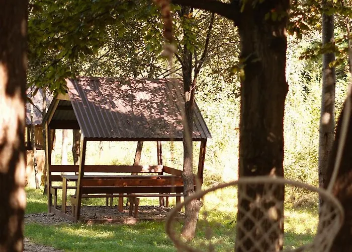гранд алексік * Truskavets