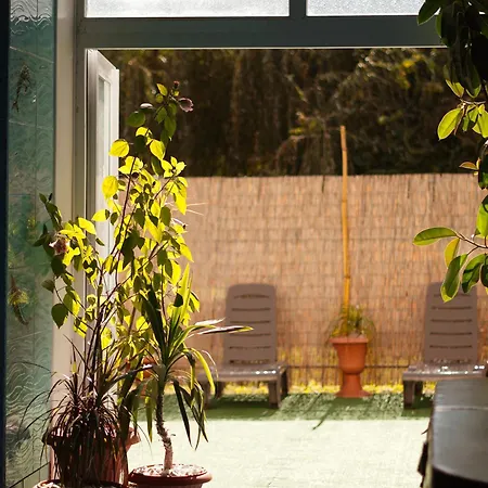 гранд алексік