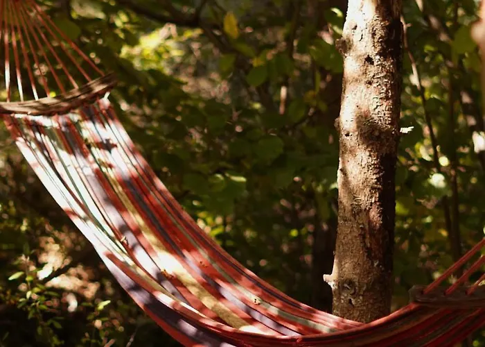 Отель гранд алексік Трускавец